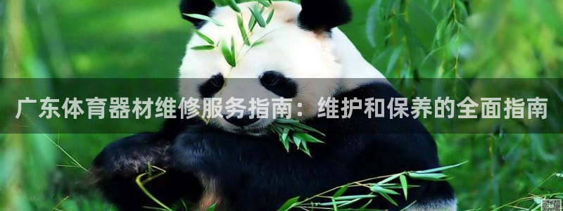 尊龙凯时下载官方正版：广东体育器材维修服务指南：维护