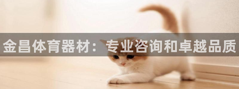 尊龙官网免费下载安卓：金昌体育器材：专业咨询和卓越品