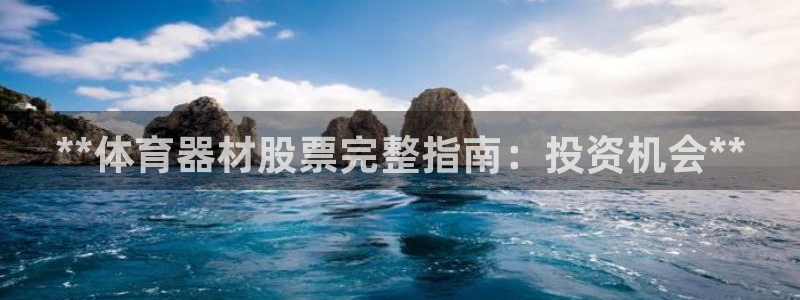尊龙凯时ag旗舰厅官方网站：**体育器材股票完整指南