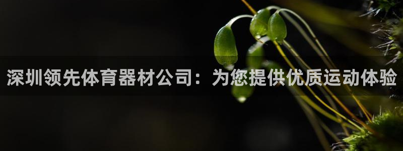 尊龙凯时logo：深圳领先体育器材公司：为您提供优质