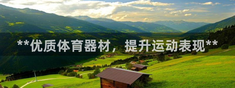 尊龙会：**优质体育器材，提升运动表现**