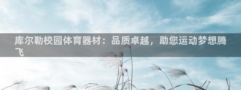 尊龙人生就是博D88：库尔勒校园体育器材：品质卓越，