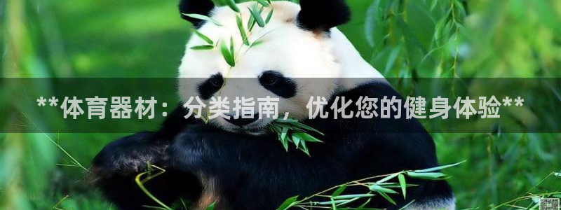 尊龙d88官网准认来就送38：**体育器材：分类指南